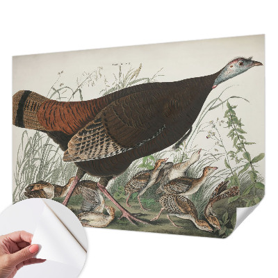 Removable wall mural wallpaper with a natural harmony design
