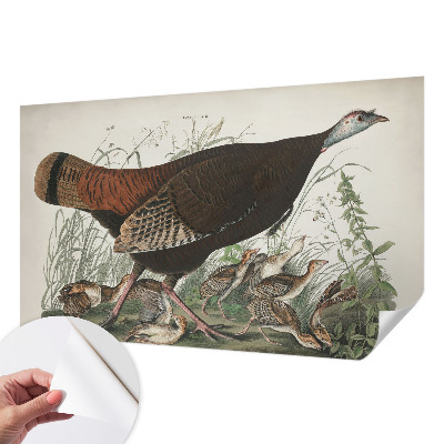 Removable wall mural wallpaper with a natural harmony design