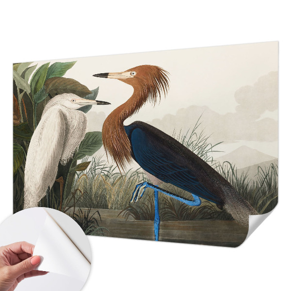 Peel and stick wall mural for kids' room with a birds-in-plants design