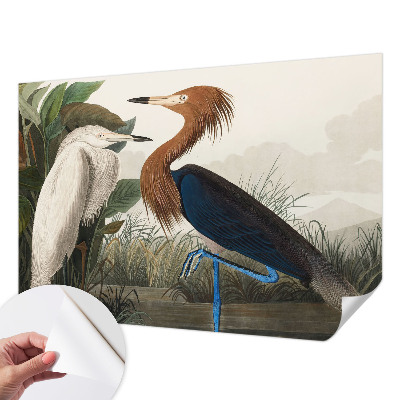 Peel and stick wall mural for kids' room with a birds-in-plants design