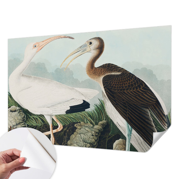 Peel and stick wall mural for bedroom with a pair of birds