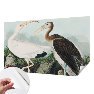 Peel and stick wall mural for bedroom with a pair of birds