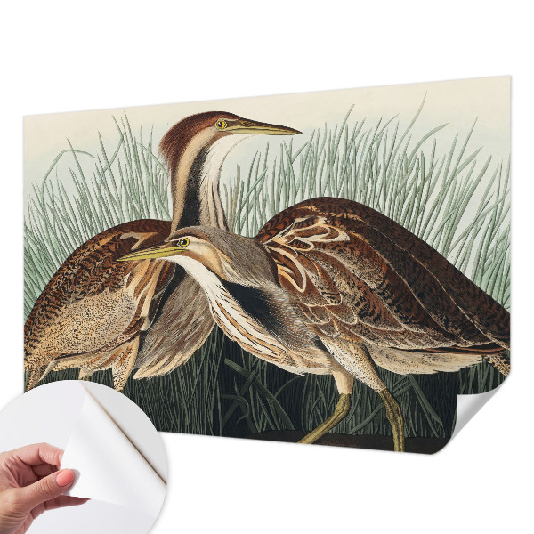 3D wall mural with a realistic bird design