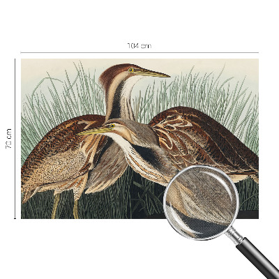 3D wall mural Realistic birds