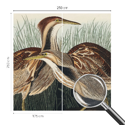 3D wall mural with a realistic bird design