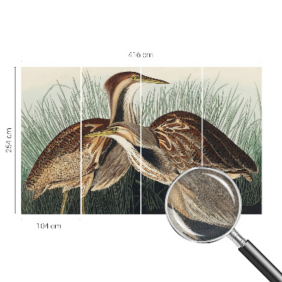 3D wall mural Realistic birds