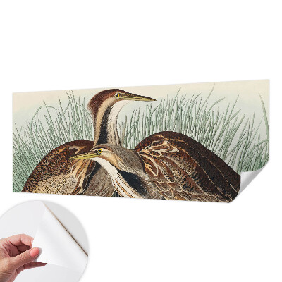 3D wall mural with a realistic bird design