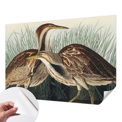 3D wall mural with a realistic bird design