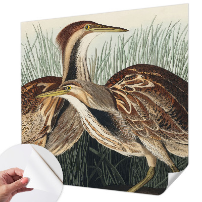 3D wall mural with a realistic bird design