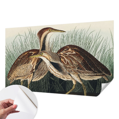 3D wall mural with a realistic bird design