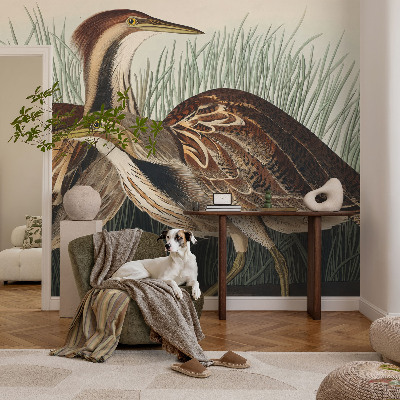 3D wall mural with a realistic bird design