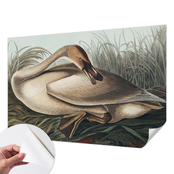 3D photo wallpaper mural with a natural bird design
