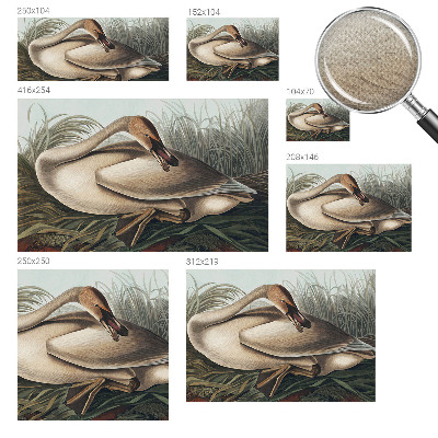 3D photo wallpaper mural Natural bird