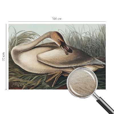 3D photo wallpaper mural with a natural bird design