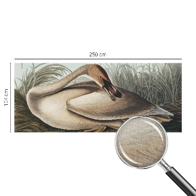 3D photo wallpaper mural with a natural bird design