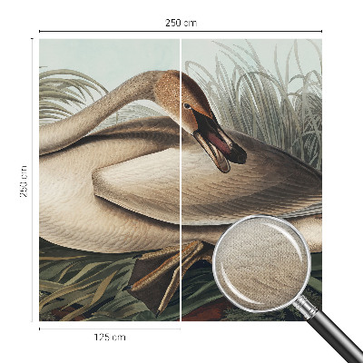 3D photo wallpaper mural with a natural bird design