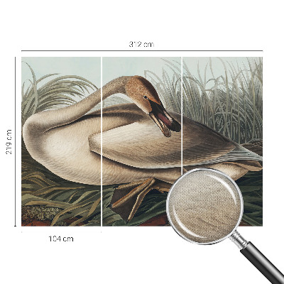 3D photo wallpaper mural with a natural bird design