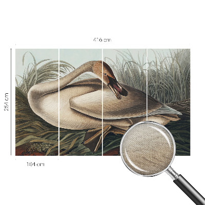 3D photo wallpaper mural with a natural bird design