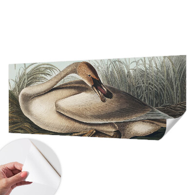 3D photo wallpaper mural with a natural bird design