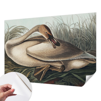 3D photo wallpaper mural with a natural bird design
