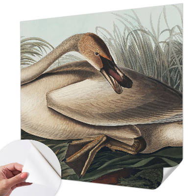 3D photo wallpaper mural with a natural bird design