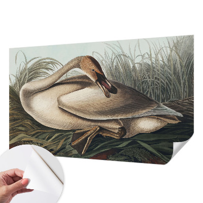 3D photo wallpaper mural with a natural bird design