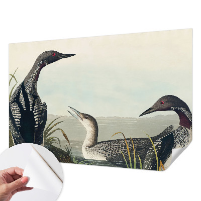Children's wall mural with a design of birds flying over water