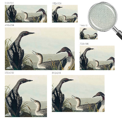 Children's wall mural with a design of birds flying over water