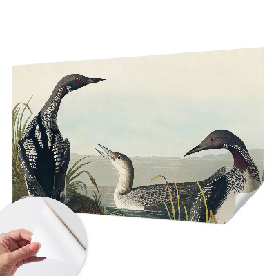 Children's wall mural with a design of birds flying over water