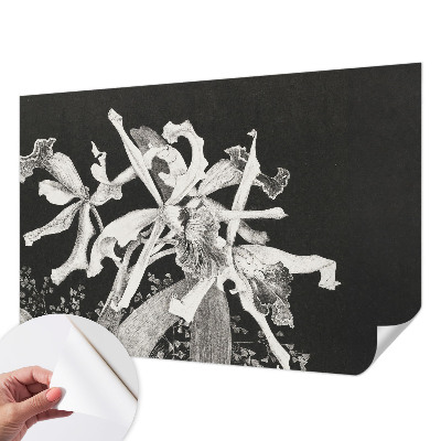 Baby room wall mural with an illustrated orchid motif