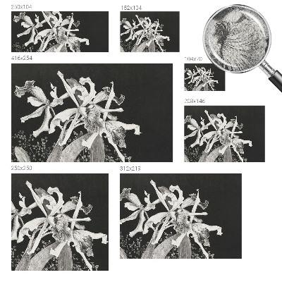 Baby room wall mural Orchid illustration