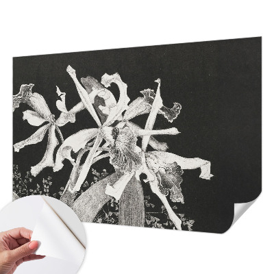 Baby room wall mural with an illustrated orchid motif