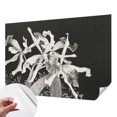 Baby room wall mural with an illustrated orchid motif