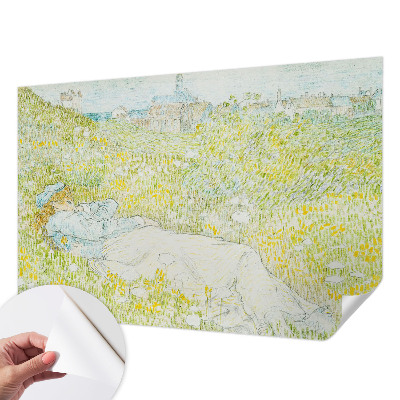 Removable wall mural wallpaper with a spring relaxation design