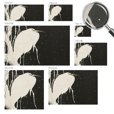 Peel and stick wall mural featuring a winter bird design