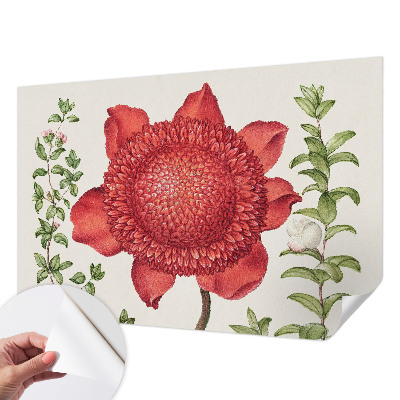 Peel and stick wall mural for bedroom with a floral elegance design