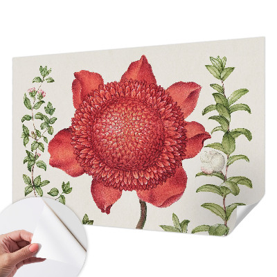 Peel and stick wall mural for bedroom Floral elegance