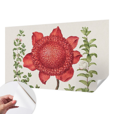 Peel and stick wall mural for bedroom with a floral elegance design