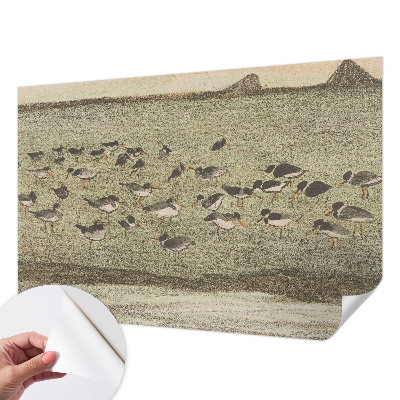 Peel and stick wall mural for kids' room featuring a peaceful bird illustration