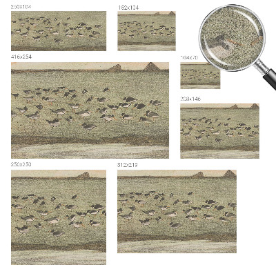 Peel and stick wall mural for kids' room Bird's peace