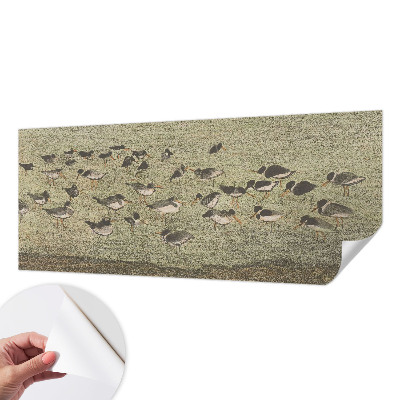Peel and stick wall mural for kids' room featuring a peaceful bird illustration