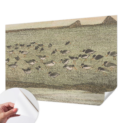 Peel and stick wall mural for kids' room featuring a peaceful bird illustration