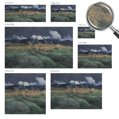 3D photo wallpaper mural with a blown grass pattern