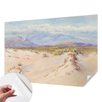 Children's wall mural featuring a desert landscape