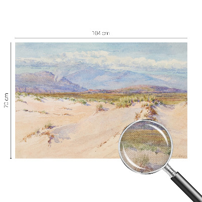Children's wall mural featuring a desert landscape