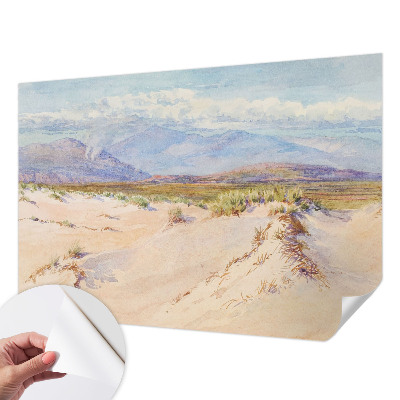 Children's wall mural featuring a desert landscape