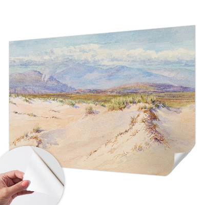 Children's wall mural featuring a desert landscape