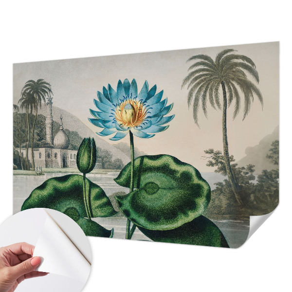 Baby room wall mural Exotic landscape