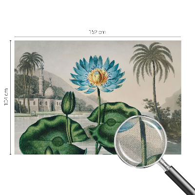 Baby room wall mural with an exotic landscape design