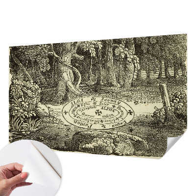 Self-adhesive wall mural with a magic circle design